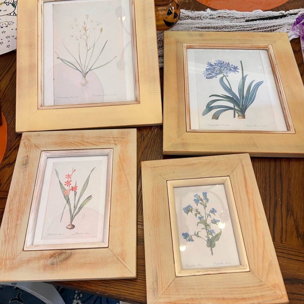 Natural Wood Frame Botanical Prints Set